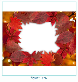 flower Photo frame 376